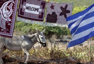 Welcome Donkey Zakynthos
